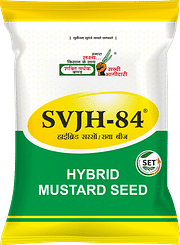 SVJH-84, Best Mustard Seeds,  Thumbnail Image