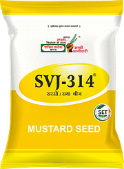 SVJ-314, Best Mustard Seeds,  Thumbnail Image