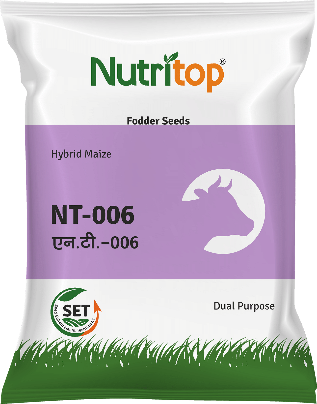 NT-006, Best Maize(Fodder) Seeds, 