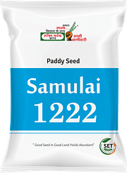 समुलाई-1222, Best Paddy Seeds,  Thumbnail Image