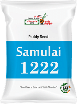 Samulai-1222