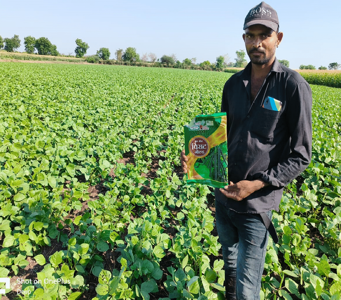 Moong ( मूंग )