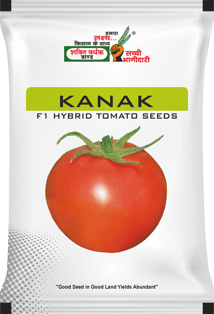 कनक , Best Tomato Seeds, 