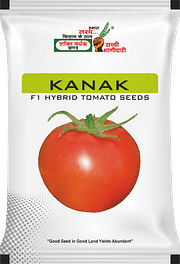 कनक , Best Tomato Seeds,  Thumbnail Image