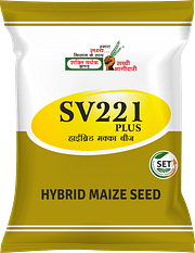 SV221 xx, Best Maize Seeds,  Thumbnail Image