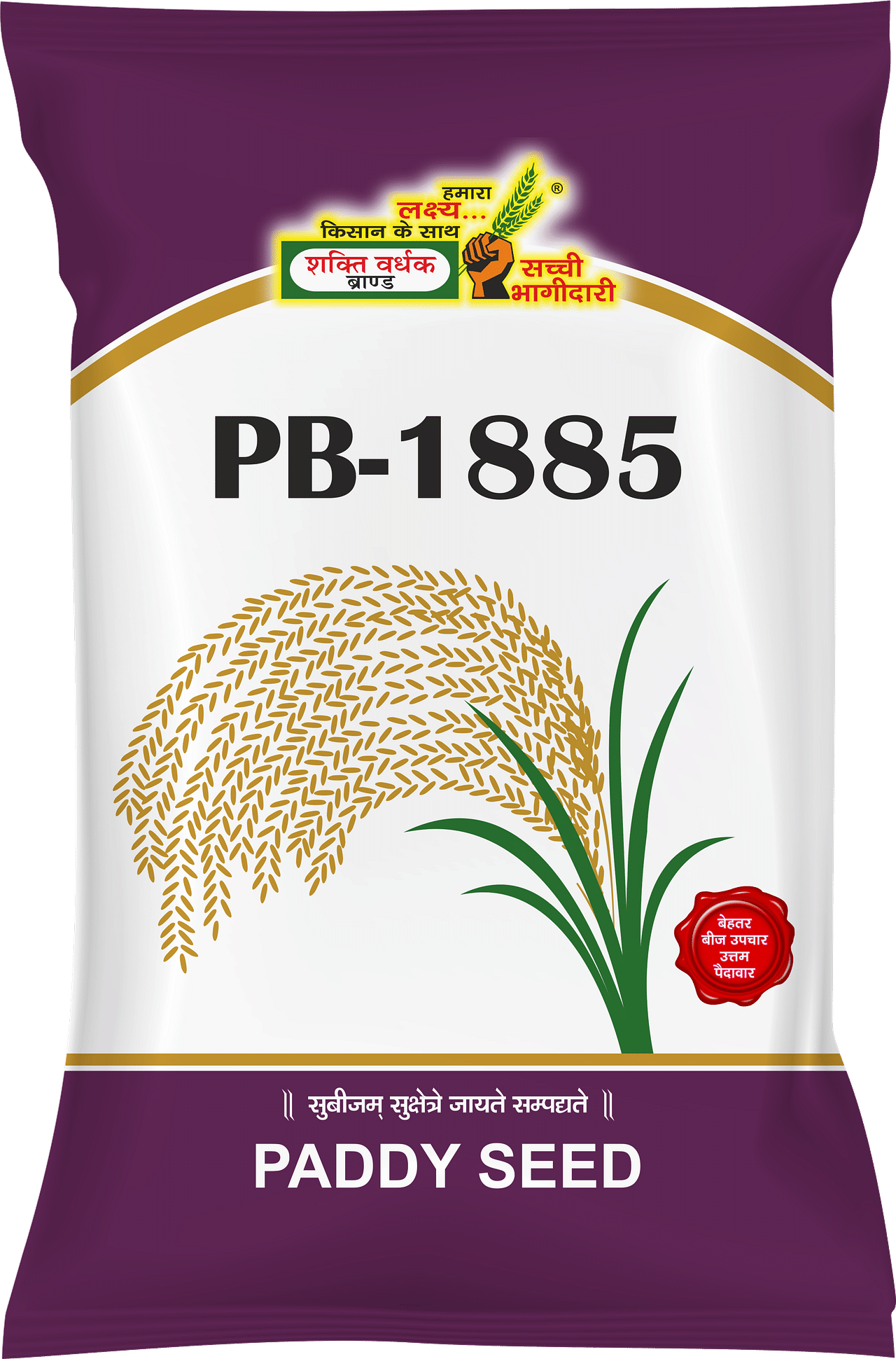 PB 1885, Best Paddy Seeds, 