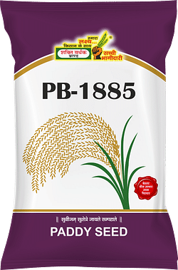 PB 1885