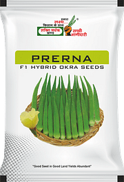 प्रेरणा, Best Okra Seeds,  Thumbnail Image