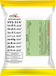 SVJ-314, Best Mustard Seeds,  Thumbnail Image