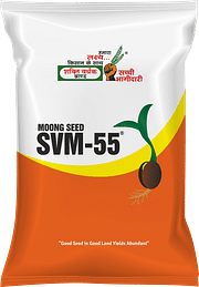 SVM-55, Best Moong Seeds,  Thumbnail Image