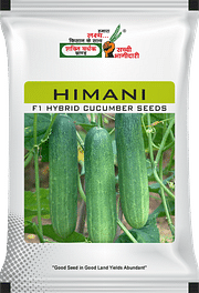 हिमानी , Best Cucumber Seeds,  Thumbnail Image