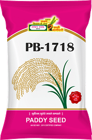 PB-1718, Best Paddy Seeds,  Thumbnail Image