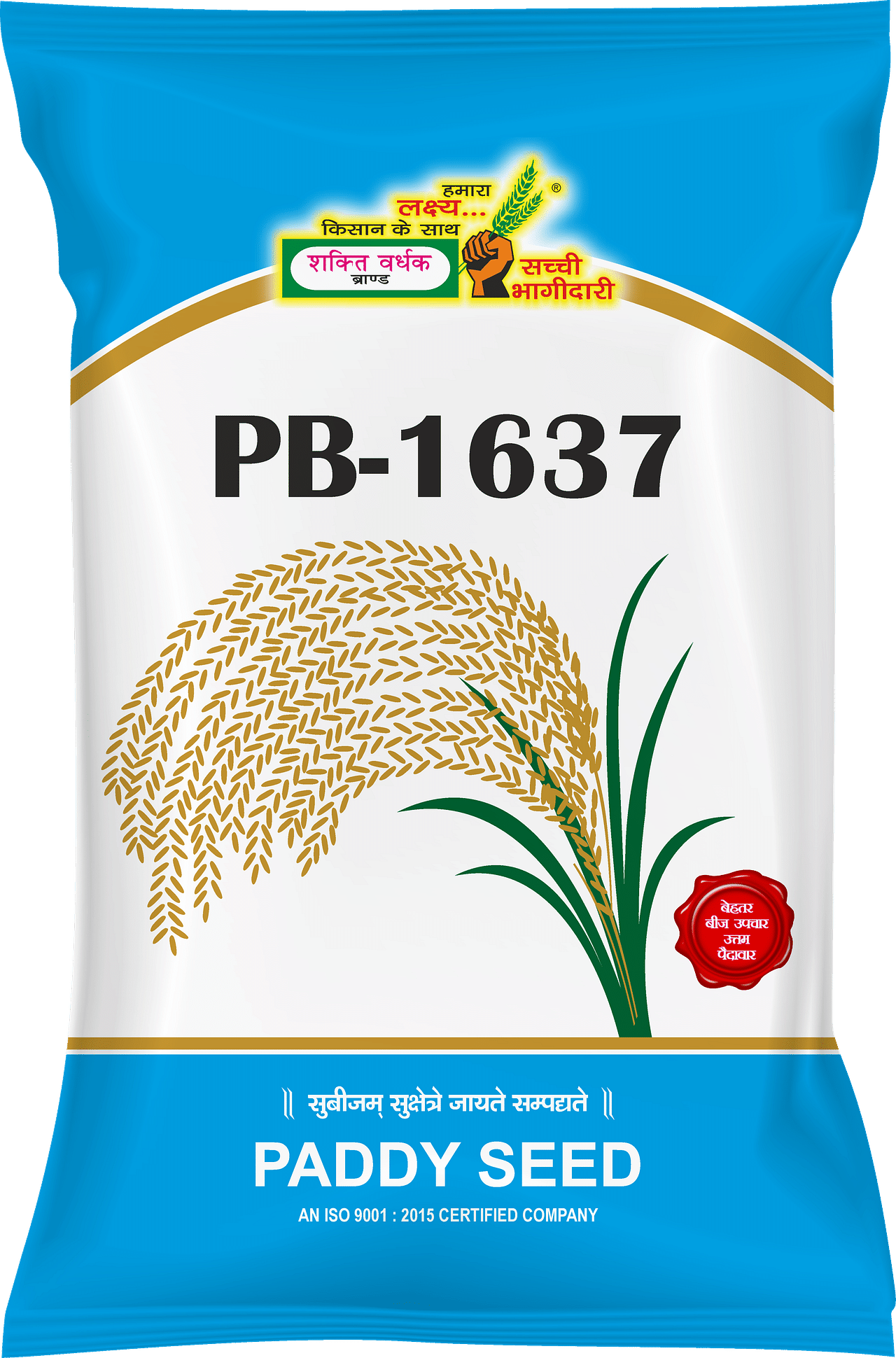 PB-1637, Best Paddy Seeds, 