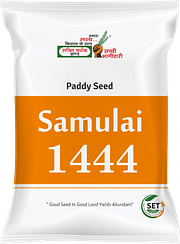 समुलाई-1444, Best Paddy Seeds,  Thumbnail Image