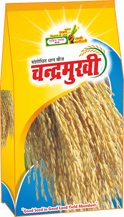 Chandermukhi