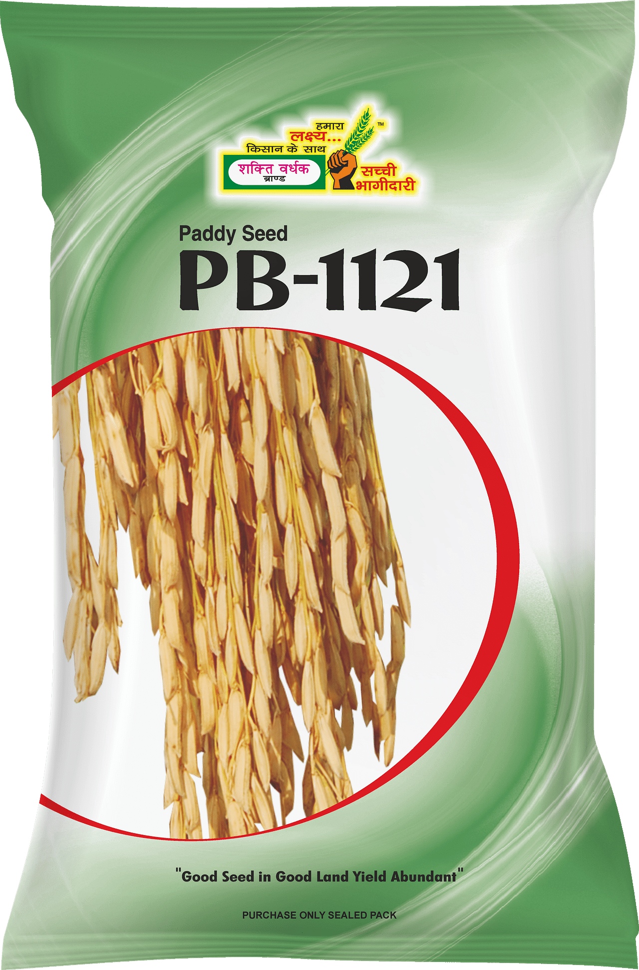 PB-1121, Best Paddy Seeds, 