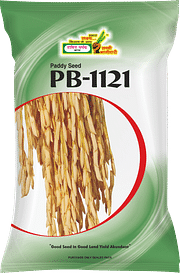 PB-1121, Best Paddy Seeds,  Thumbnail Image