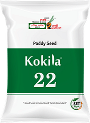 कोकिला-22, Best Paddy Seeds,  Thumbnail Image