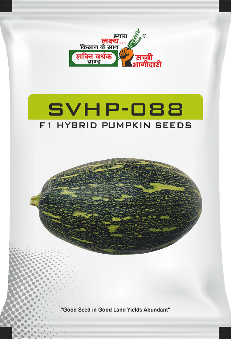 SVHP-088, Best Pumpkin Seeds, 