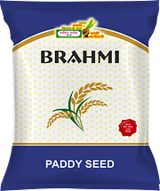 ब्राह्मी, Best Paddy Seeds,  Thumbnail Image