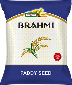 Brahmi