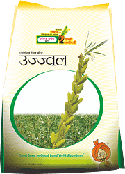 उज्ज्वल, Best Til Seeds,  Thumbnail Image