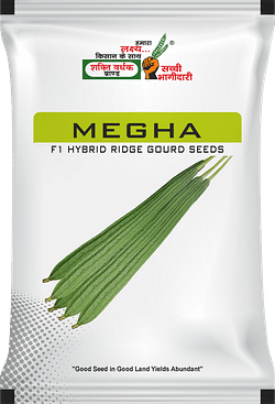 Megha