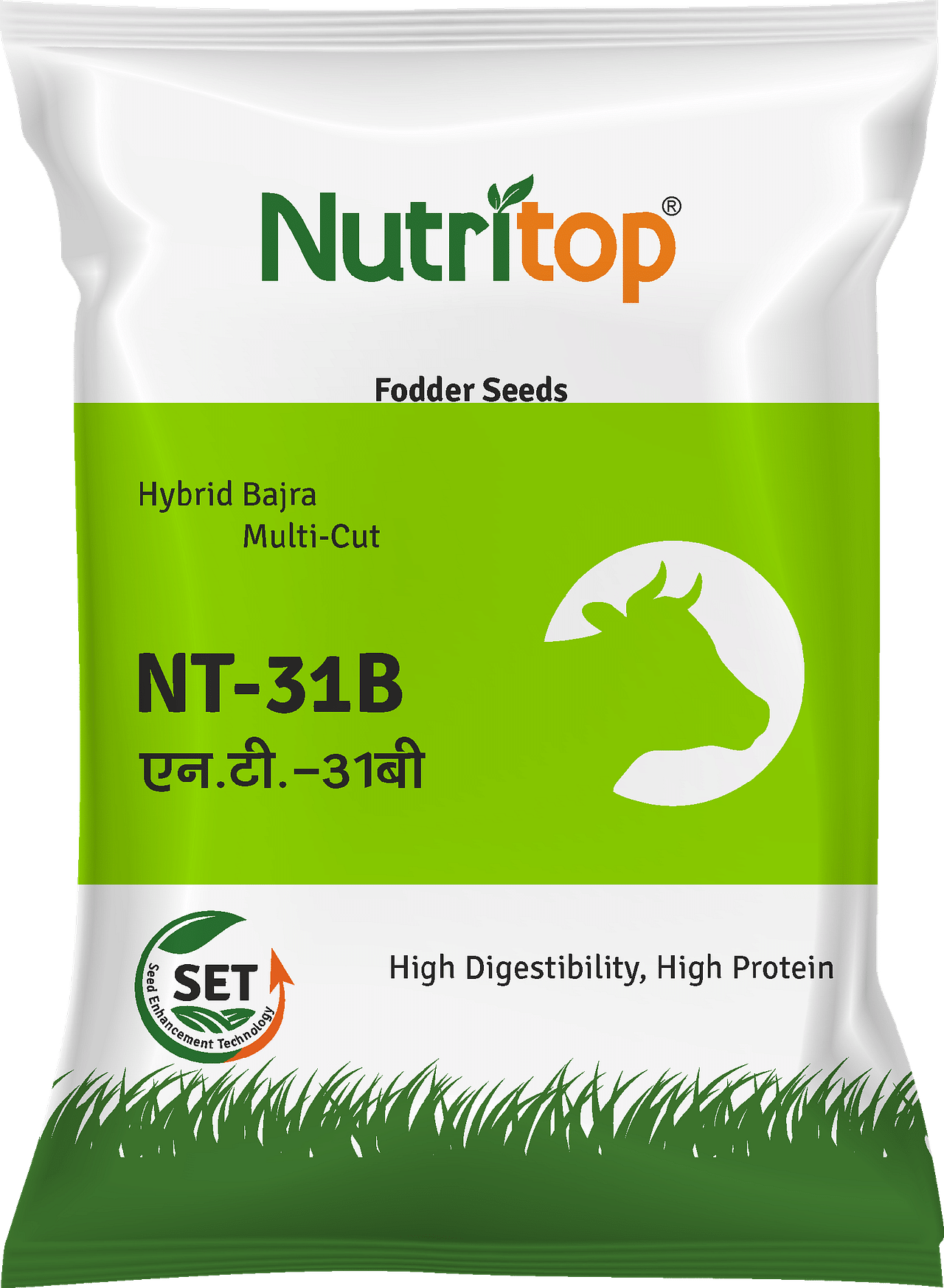 NT-31B , Best Bajra (Fodder) Seeds, 