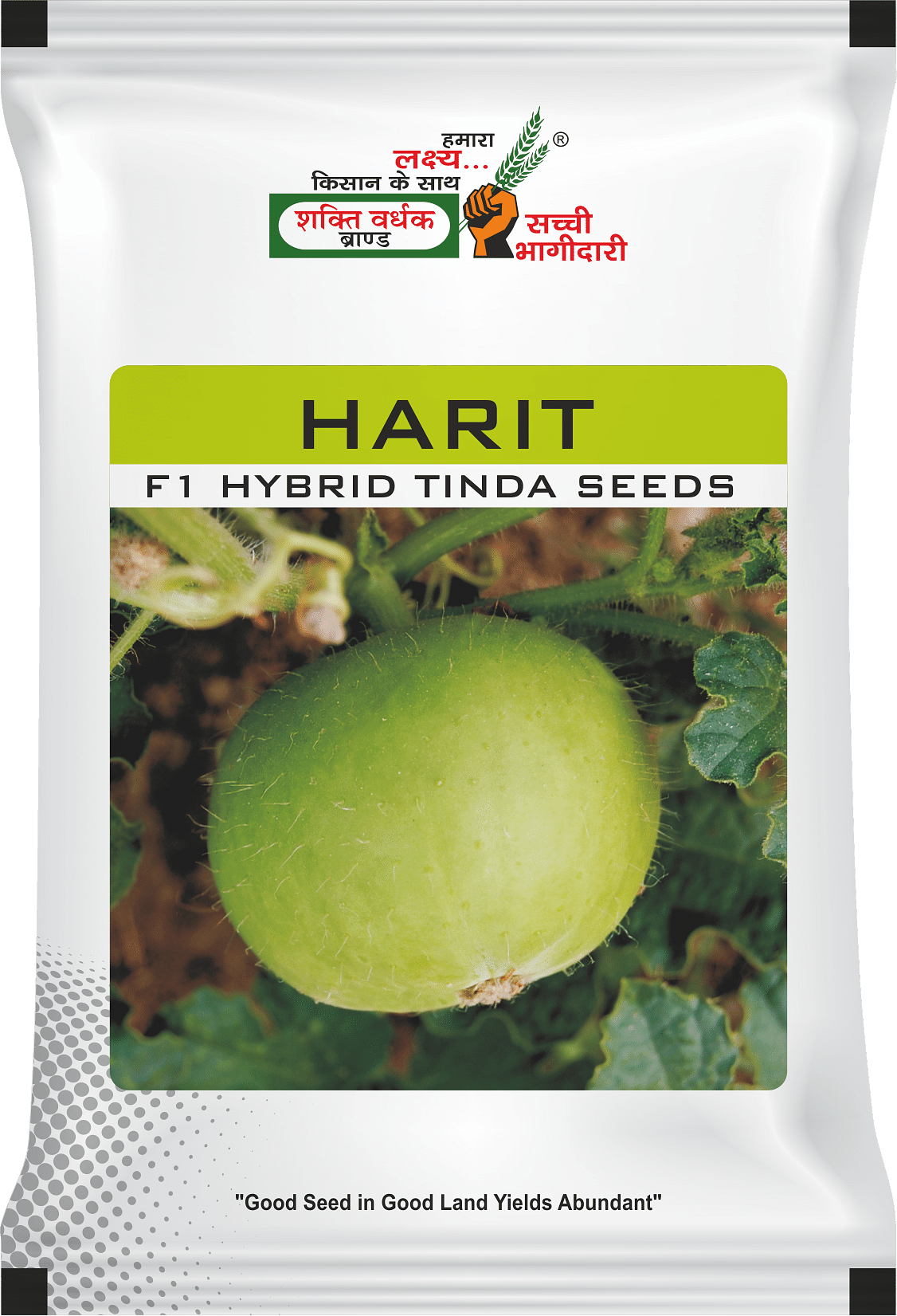 Harit, Best Tinda Seeds, 