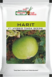 Harit, Best Tinda Seeds,  Thumbnail Image