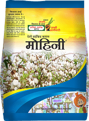 Mohini, Best Cotton Seeds,  Thumbnail Image