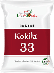 कोकिला-33, Best Paddy Seeds,  Thumbnail Image