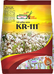 KR-111, Best Cotton Seeds,  Thumbnail Image