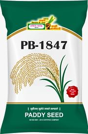 PB 1847, Best Paddy Seeds,  Thumbnail Image