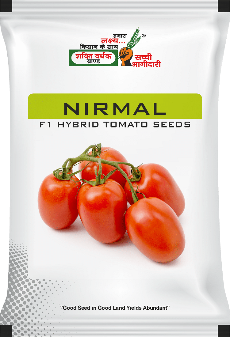 निर्मल , Best Tomato Seeds, 