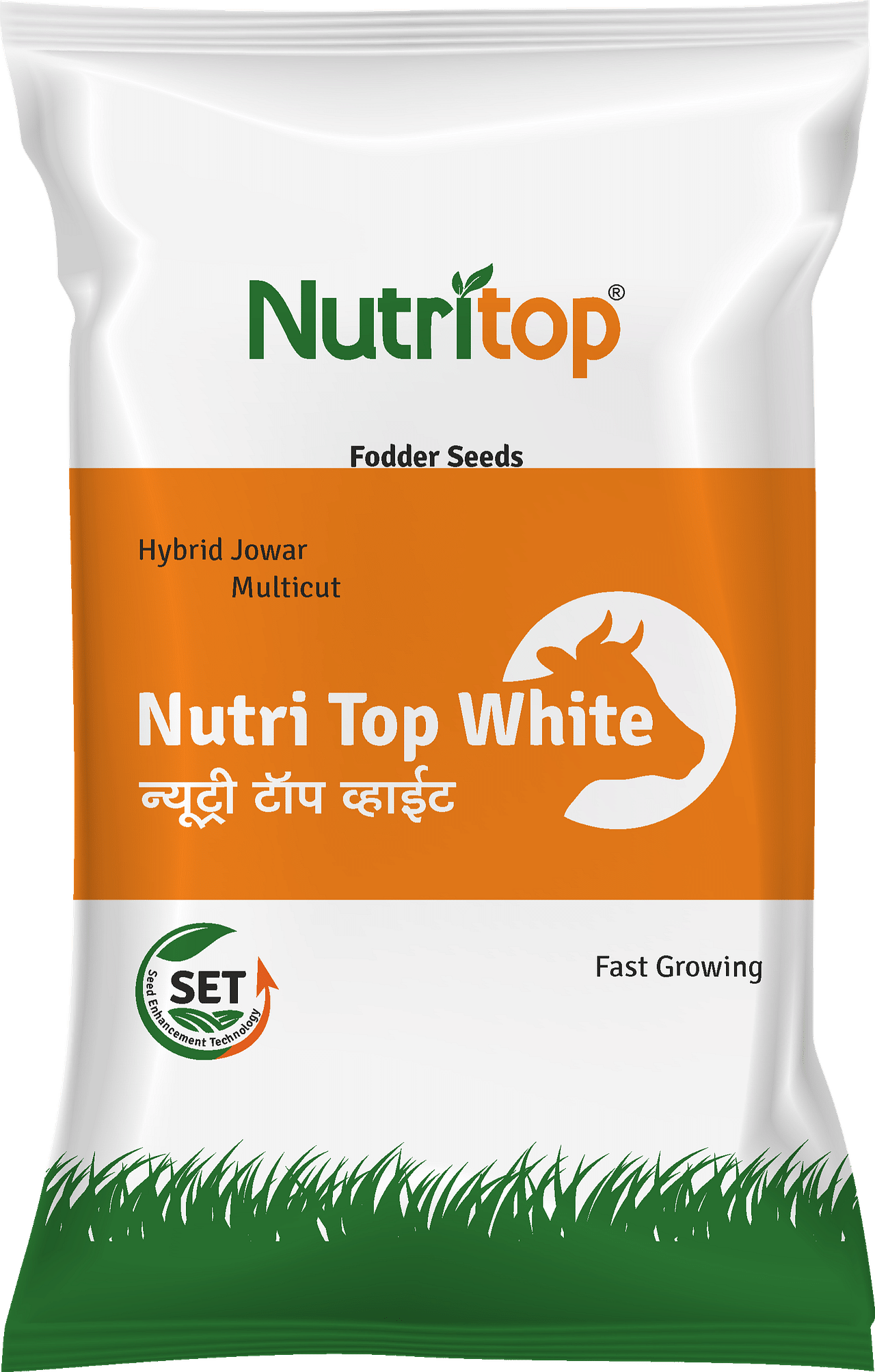 Nutri Top White, Best Jowar Seeds, 