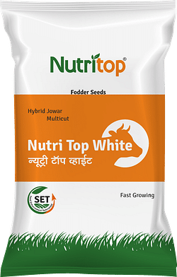 Nutri Top White