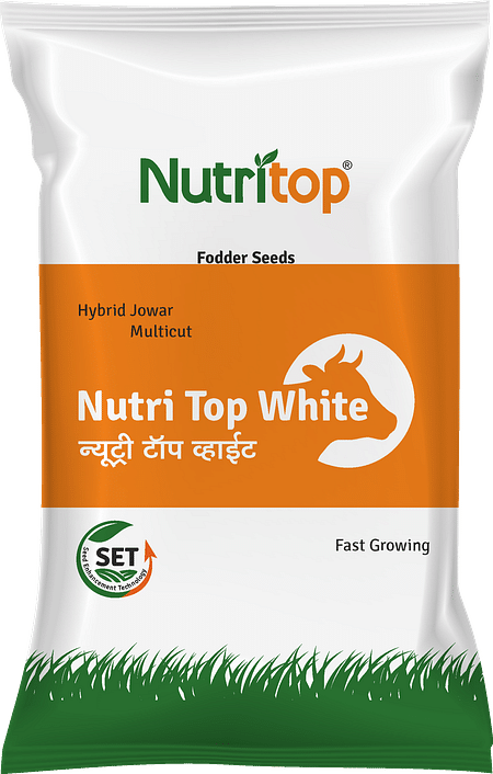 Nutri Top White