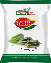 SVT-333, Best Til Seeds,  Thumbnail Image