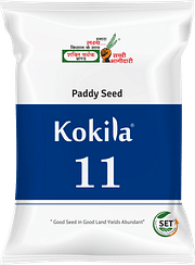 कोकिला-11, Best Paddy Seeds,  Thumbnail Image