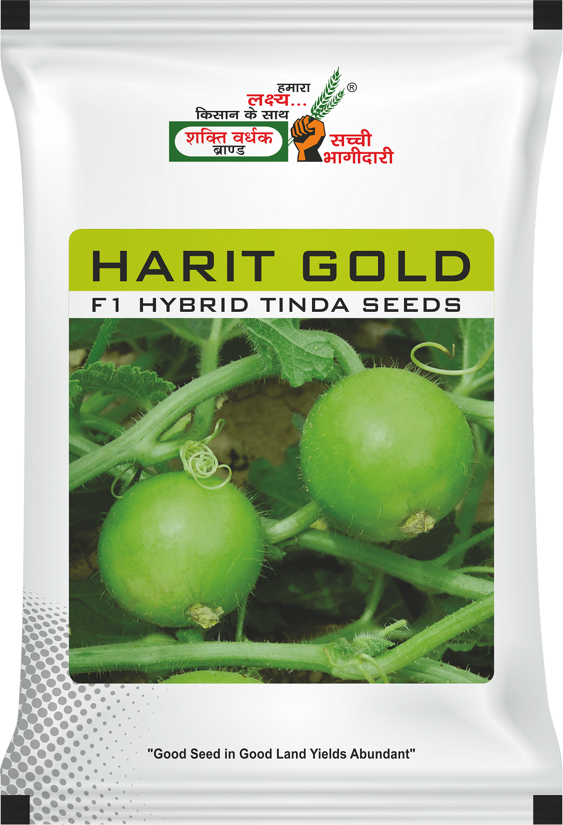 Harit Gold, Best Tinda Seeds, 