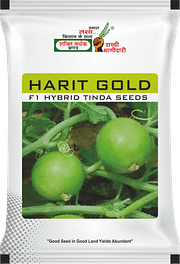 Harit Gold, Best Tinda Seeds,  Thumbnail Image