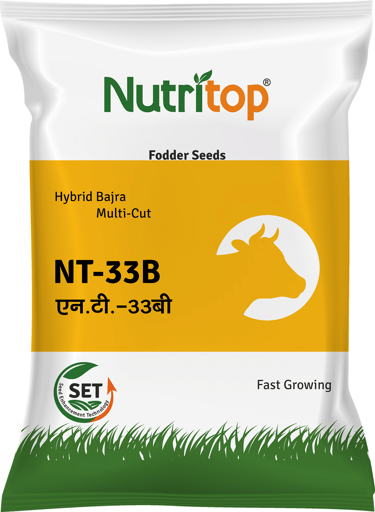 NT-33B, Best Bajra (Fodder) Seeds, 