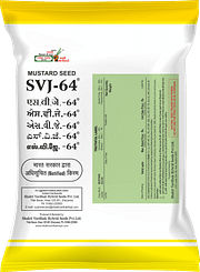 SVJ-64 (Notified), Best Mustard Seeds,  Thumbnail Image