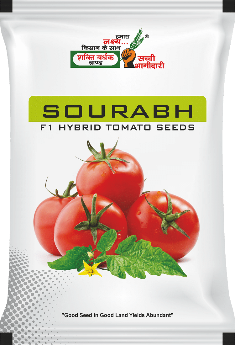 सौरभ  , Best Tomato Seeds, 