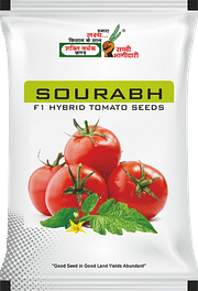 सौरभ  , Best Tomato Seeds,  Thumbnail Image