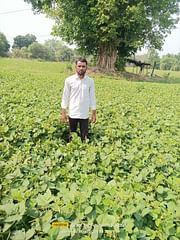 Virat Super, Best Moong Seeds,  Thumbnail Image