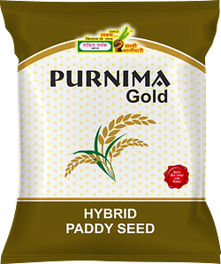 Purnima Gold