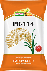 PR-114, Best Paddy Seeds,  Thumbnail Image