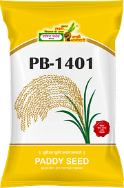 PB-1401, Best Paddy Seeds,  Thumbnail Image